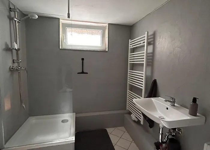 Seenahe Mit Gemeinschaftsgarten Und -pool * 埃森